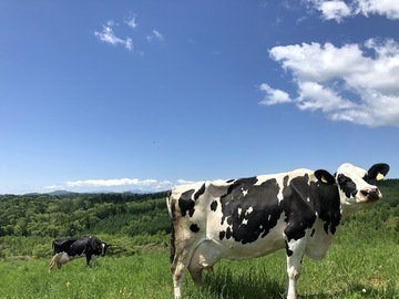 北海道芦別市×酪農/法人【36601】-1