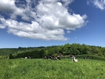 北海道芦別市×酪農/法人【36601】-5