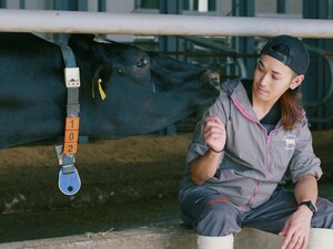 上士幌町酪農ヘルパー有限責任事業組合-top