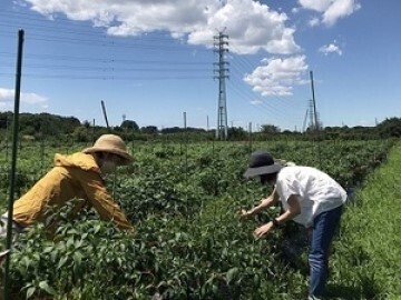 合同会社十色-2