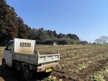 白井ファーム-2