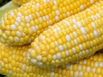 株式会社谷口農場-5