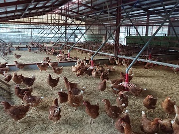 はやしなちゅらるふぁーむ-1