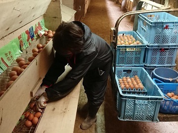 はやしなちゅらるふぁーむ-3