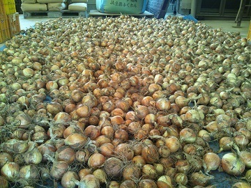 はやしなちゅらるふぁーむ-4