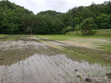 はやしなちゅらるふぁーむ-6