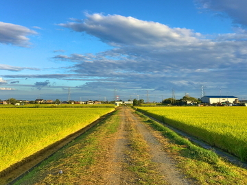 株式会社谷部商店-2