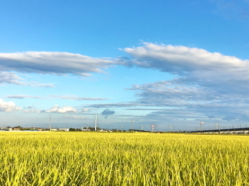 株式会社谷部商店-4