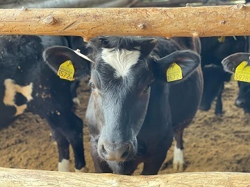 株式会社松尾牧場-4