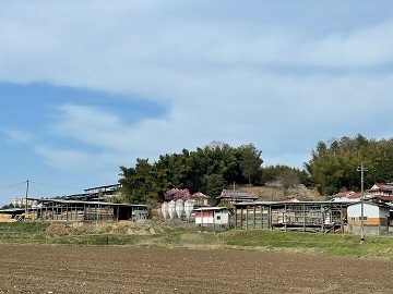 株式会社松尾牧場-8