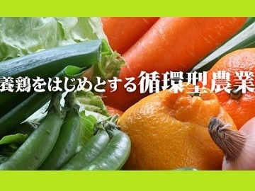 鹿児島県出水市×肥料・露地野菜・稲作/法人【1355】-2