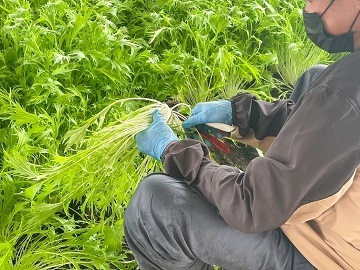 株式会社ふしちゃん-2