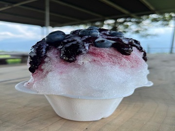 株式会社ブルーベリー明野-8