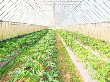 株式会社TANABE FARM-2