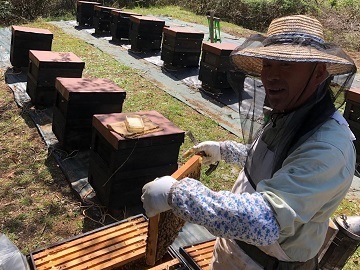 安士養蜂園-6