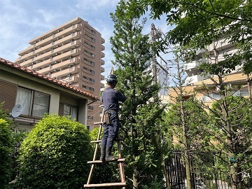 株式会社植忠-4