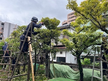 株式会社植忠-2