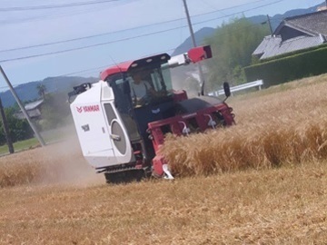 株式会社アグリアート水本-8