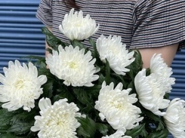 株式会社アグリフラワー-2