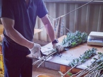 株式会社アグリフラワー-4