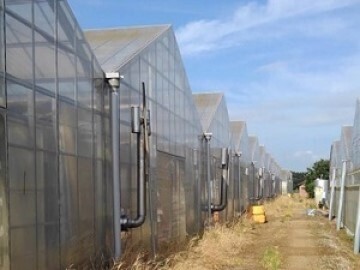 株式会社アグリフラワー-6