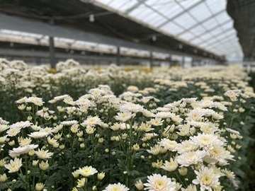 株式会社アグリフラワー-5