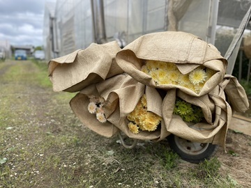 株式会社アグリフラワー-8