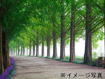 有限会社三田植木-1