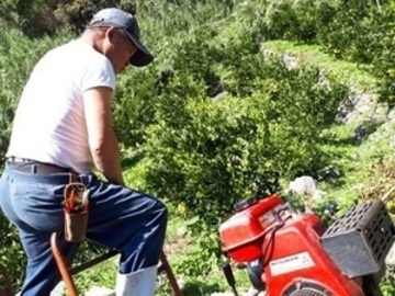 段畑みかん株式会社-2