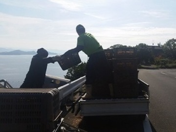 段畑みかん株式会社-5