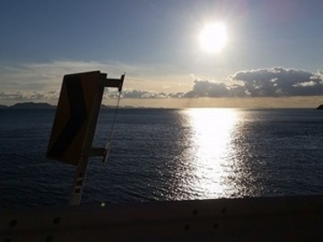 段畑みかん株式会社-8