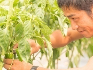 コトファーム-top