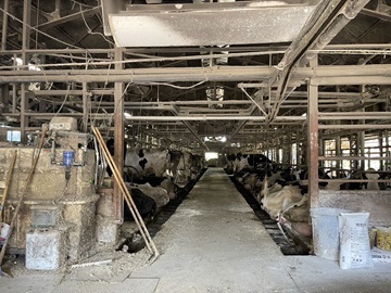 松枝牧場(加藤牧場)-3