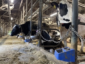 松枝牧場(加藤牧場)-8