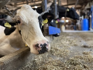 松枝牧場(加藤牧場)-2