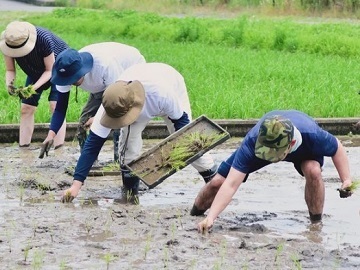 株式会社TakahashiFarm-6
