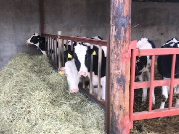 北海道本別町×酪農/法人【1396】-top