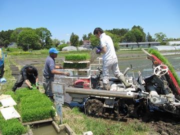 宮城県登米市×稲作/法人【40064】-1