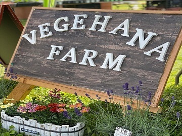 VEGEHANA FARM-1