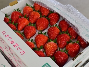 有限会社 ミカモフレテック　(東みよし町地域おこし協力隊)-2