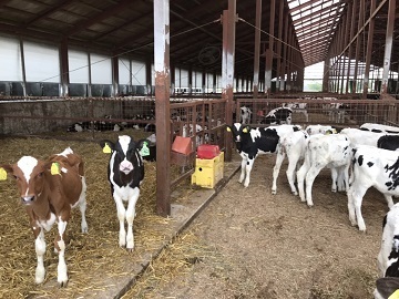 北海道中札内村×酪農/法人【0978】-1