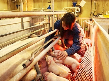 有限会社 ピックファーム室岡-2