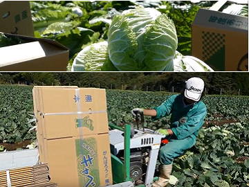 株式会社FFKベジテック-3