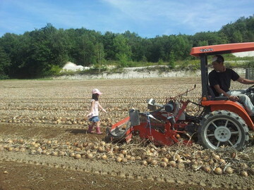 有限会社山上産業-2