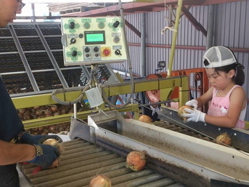 有限会社山上産業-3