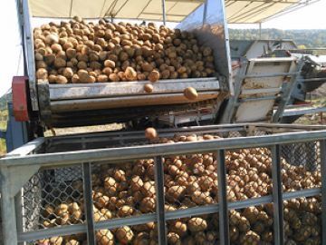 有限会社山上産業-6