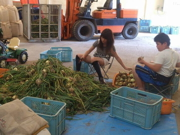 有限会社山上産業-5