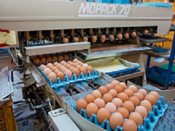 有限会社コセンファーム-1