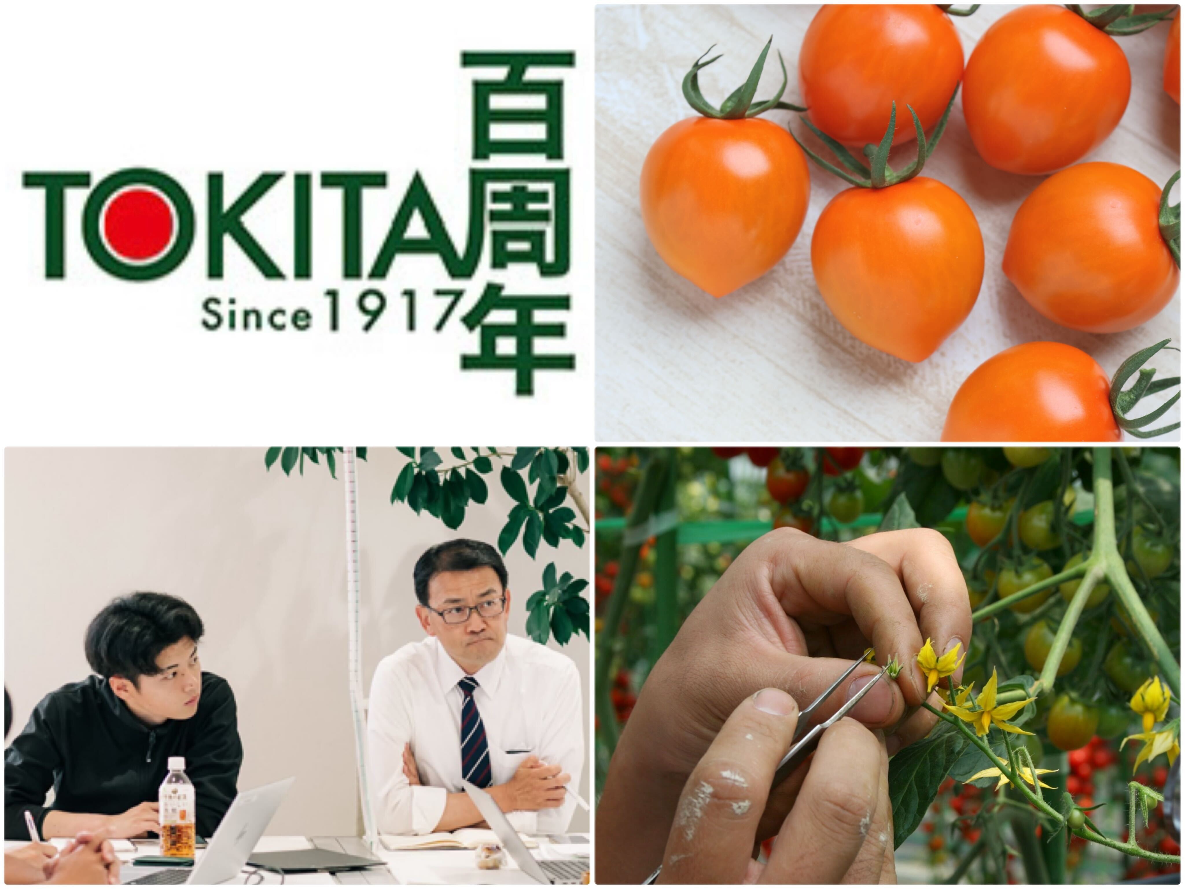 トキタ種苗株式会社【北海道】