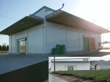 静岡県×露地野菜/法人【1335】-2